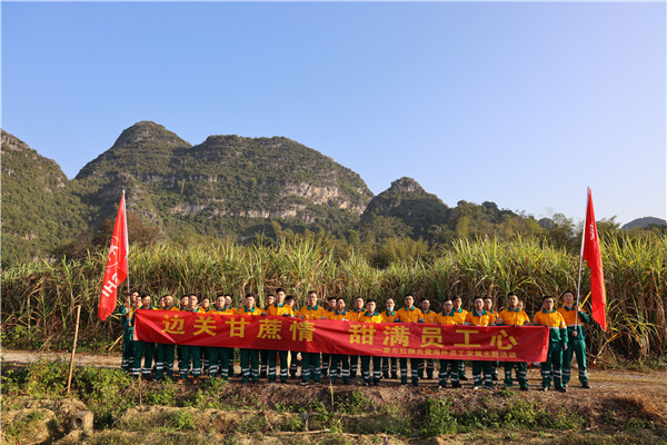 邊關(guān)甘蔗情，“甜”滿員工心—崇左紅獅助海外員工家屬收甘蔗
